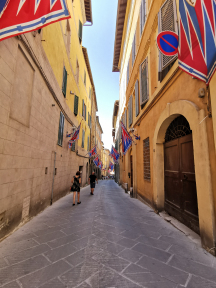 Sienne-Drapeaux des quartiers