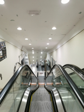 Escalator Sienne