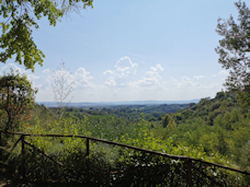 Orto Botanico dell'Universita di Siena