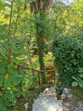 Orto Botanico dell'Universita di Siena