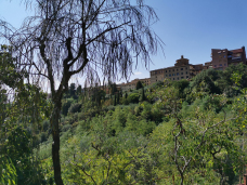 Orto Botanico dell'Universita di Siena