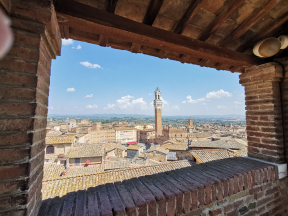 Vue en haut du Museo dell'Opera del Duomo